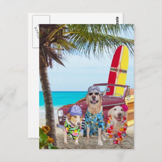  Funny Dogs/Labs op het strand Briefkaart (Voorkant / Achterkant)