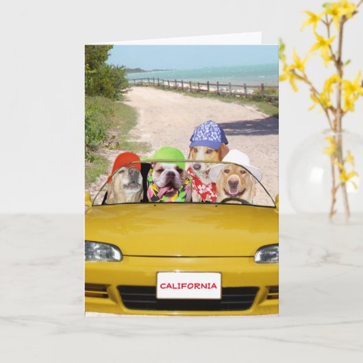 Funny Dogs / Labs Surfer Verjaardag Kaart (Gele Bloem)