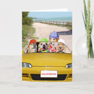 Funny Dogs / Labs Surfer Verjaardag Kaart