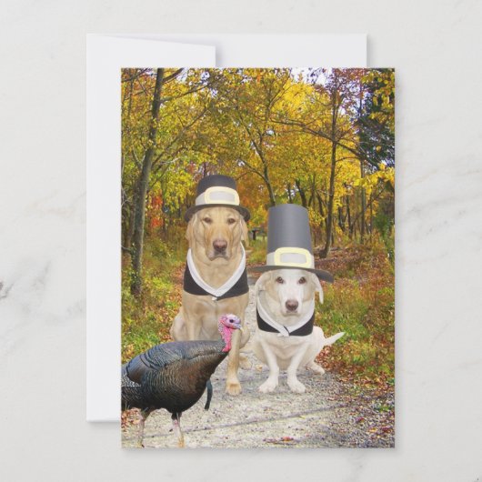 Funny Dogs/Labs Thanksgiving Invitation Kaart (Voorkant)
