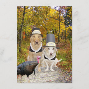 Funny Dogs/Labs Thanksgiving Invitation Kaart