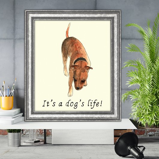 Funny Dogs life Staffordshire Bull Terrier Art Poster