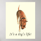Funny Dogs life Staffordshire Bull Terrier Art Poster (Voorkant)