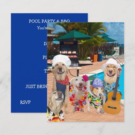 Funny Dogs  Pool Party/BBQ Uitnodiging (Voorkant / Achterkant)