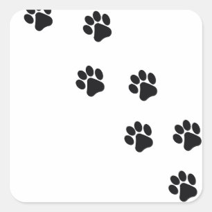 Funny dog's pootdruk vierkante sticker
