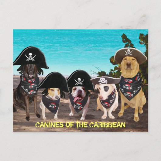Funny Dogs praat als een piratendag Briefkaart (Voorkant)