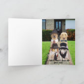 Funny Dogs Rebel Male Birthday Kaart (Binnen)