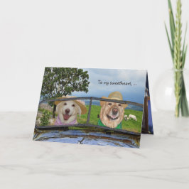 Funny Dogs Valentijn voor Sweetheart Feestdagen Kaart