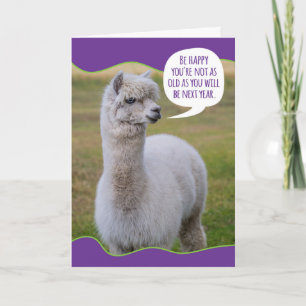 Funny Dolly Llama Birthday Wisdom Kaart