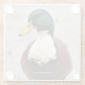 Funny Domestic Mallard Duclair Bibbed Odd Duck Glazen Onderzetter (Achterkant)