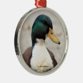 Funny Domestic Mallard Duclair Bibbed Odd Duck Metalen Ornament (Rechts)