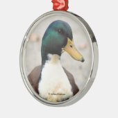 Funny Domestic Mallard Duclair Bibbed Odd Duck Metalen Ornament (Links)