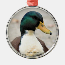 Funny Domestic Mallard Duclair Bibbed Odd Duck Metalen Ornament