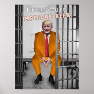 Funny Donald Trump Impeachment Humor gevangenis Poster