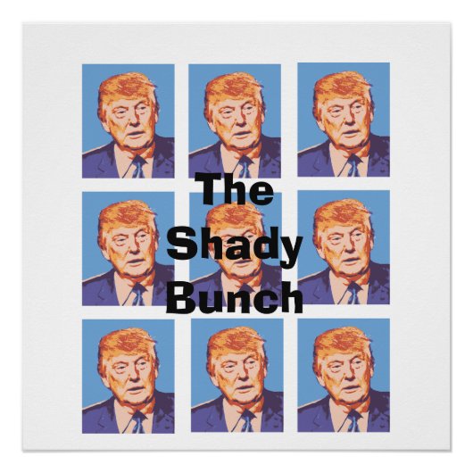 Funny Donald Trump The Shady Bunch Poster (Voorkant)