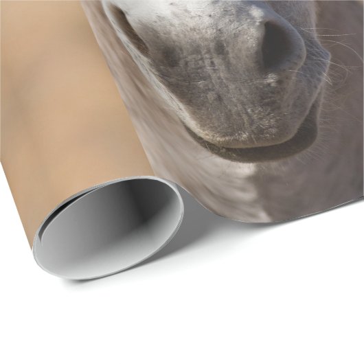 Funny Donkey Face Cadeaupapier (Rol Hoek)