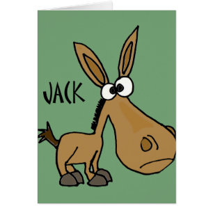 Funny Donkey genaamd Jack
