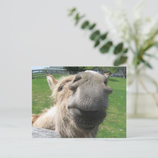 Funny Donkey sluit af Briefkaart (Staand voorkant)