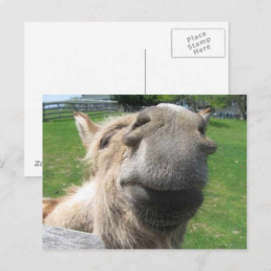 Funny Donkey sluit af Briefkaart (Voorkant / Achterkant)