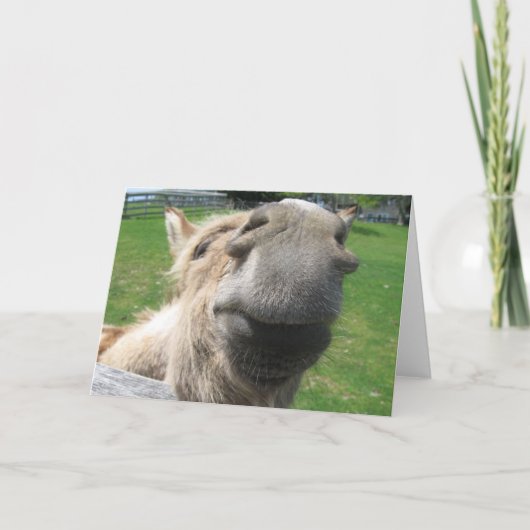 Funny Donkey sluit af Kaart (Voorkant)