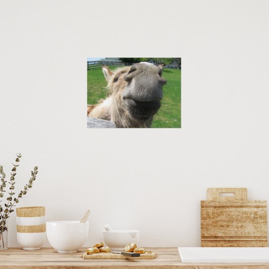 Funny Donkey sluit af Poster (Keuken)