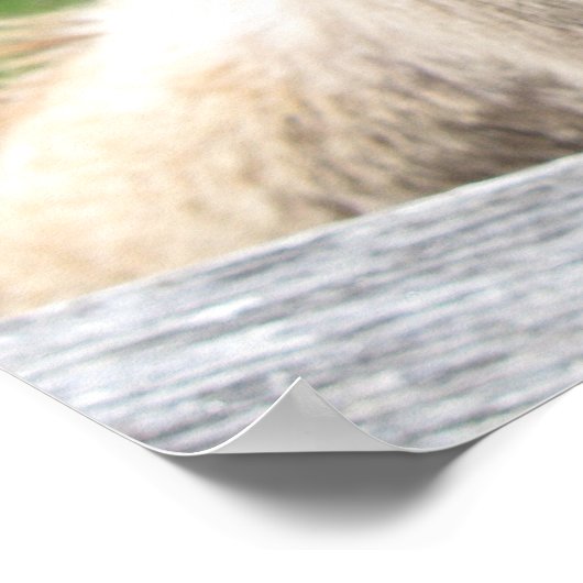 Funny Donkey sluit af Poster (Hoek)