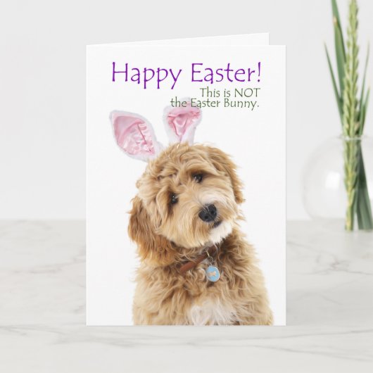 Funny Doodle Dog Easter Kaart (Voorkant)
