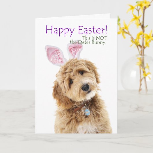 Funny Doodle Dog Easter Kaart (Gele Bloem)