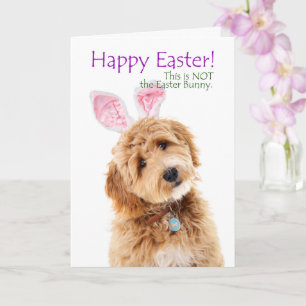 Funny Doodle Dog Easter Kaart