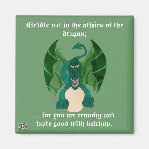 Funny Dragon Magnet