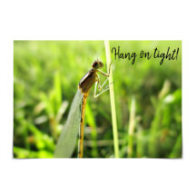 Funny Dragonfly moediger Kaart "Hang on Tight"