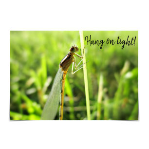Funny Dragonfly moediger Kaart "Hang on Tight"