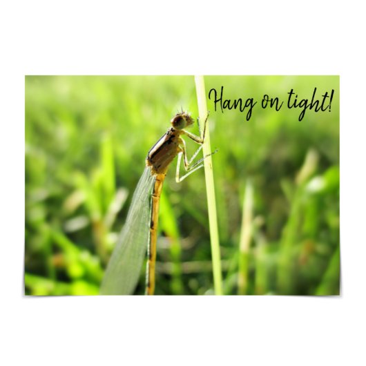 Funny Dragonfly moediger Kaart "Hang on Tight"