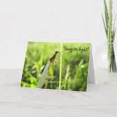Funny Dragonfly moediger Kaart "Hang on Tight" (Voorkant)