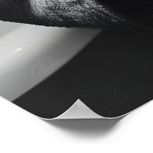 Funny Duck in Bathrobe Print, Quirky Bathroom Wall Poster (Hoek)