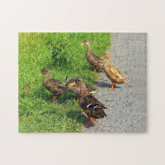 Funny Ducks Legpuzzel (Horizontaal)