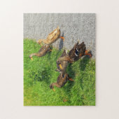 Funny Ducks Legpuzzel (Verticaal)