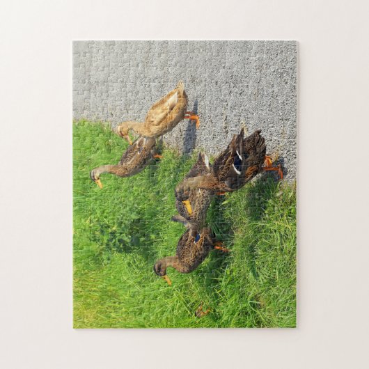Funny Ducks Legpuzzel (Verticaal)