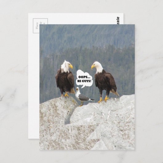 Funny Eagles en Seagull Briefkaart (Voorkant / Achterkant)