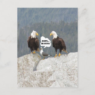 Funny Eagles en Seagull Briefkaart