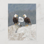 Funny Eagles en Seagull Briefkaart (Voorkant)