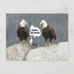 Funny Eagles en Seagull Briefkaart