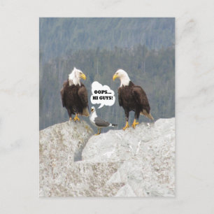Funny Eagles en Seagull Briefkaart