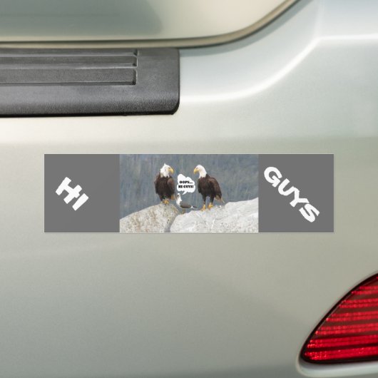 Funny Eagles en Seagull Bumpersticker (Op auto)