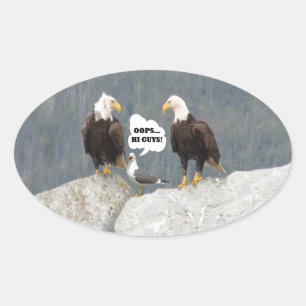 Funny Eagles en Seagull Ovale Sticker