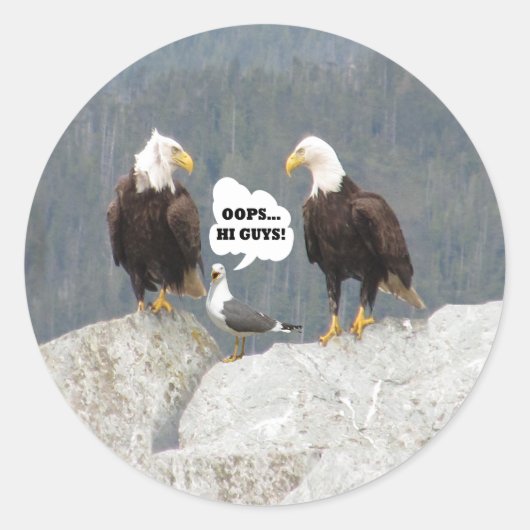 Funny Eagles en Seagull Ronde Sticker (Voorkant)