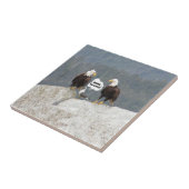 Funny Eagles en Seagull Tegeltje (Zijkant)