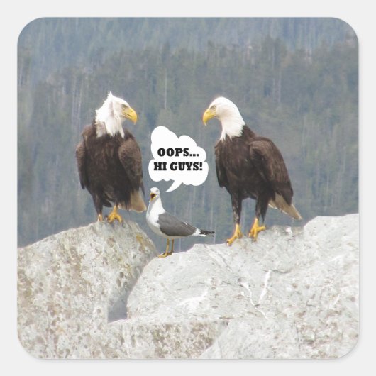 Funny Eagles en Seagull Vierkante Sticker (Voorkant)