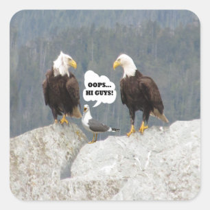 Funny Eagles en Seagull Vierkante Sticker