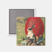  Funny Easter, Bunny Rabbit Egg Automobile Magneet (Voorkant / Achterkant)